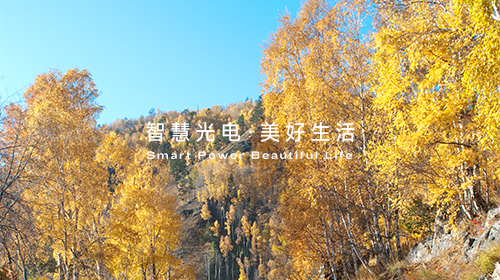 可再生能源非电消费纳入年度考核指标、全球首次突破气候临界点……